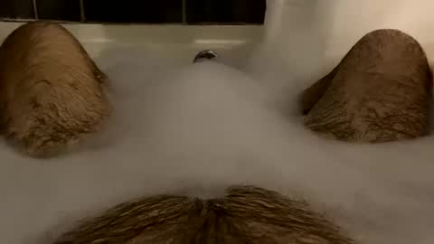 Snapshot of oldbones2 chatting on 02-16-25, 02:20 oldbones2 online show from 02-16-25, 02:20