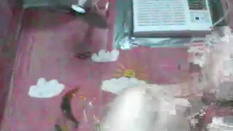 Snapshot of oldbuthorny62 chatting on 11-23-25, 06:57 oldbuthorny62 online show from 11-23-25, 06:57