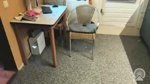 oldersagger online show from 12-04-25, 05:43