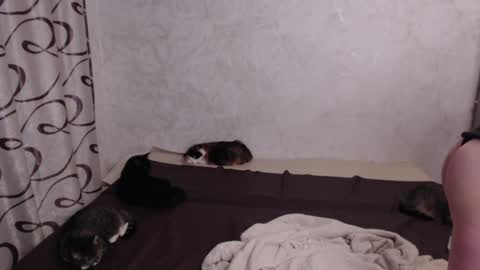 Snapshot of olivia_redd chatting on 05-15-26, 08:49 Olivia online show from 05-15-26, 08:49