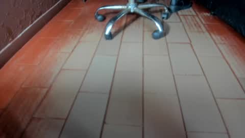   online show from 01-13-25, 12:45