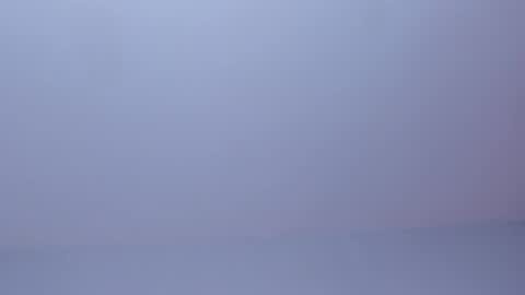 OLIVIA online show from 03-31-26, 02:35