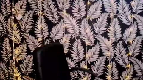 Snapshot of oliviaoskar_ chatting on 01-06-25, 12:13 Kelly online show from 01-06-25, 12:13