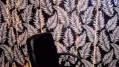 Snapshot of oliviaoskar_ chatting on 10-16-25, 11:33 Kelly online show from 10-16-25, 11:33