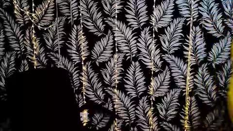 Snapshot of oliviaoskar_ chatting on 11-29-25, 03:59 Kelly online show from 11-29-25, 03:59