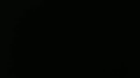 olli_5 online show from 02-13-25, 11:17