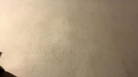 Snapshot of omgyesgurl chatting on 09-28-25, 08:47 amy 3 online show from 09-28-25, 08:47