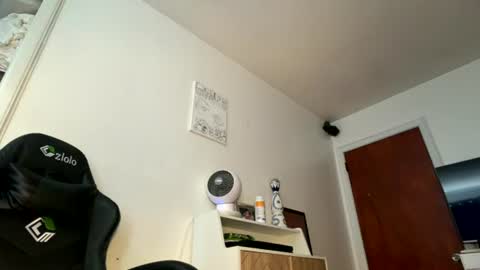 onedayonedollar online show from 08-01-26, 02:49