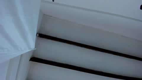 Miss Guzman  online show from 01-27-25, 12:48