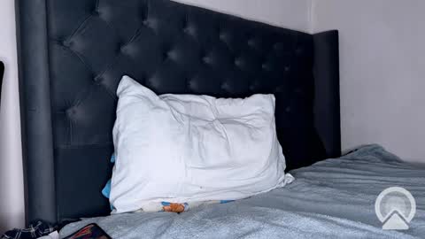 origamicat online show from 01-26-25, 12:22