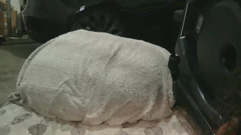 Snapshot of originalcali95 chatting on 12-15-25, 01:32 originalcali95 online show from 12-15-25, 01:32