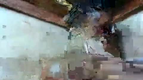 Snapshot of osinaa chatting on 05-18-26, 04:13 osinaa online show from 05-18-26, 04:13
