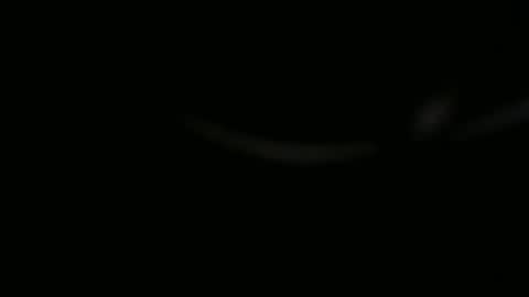 Ossi online show from 11-01-25, 10:01