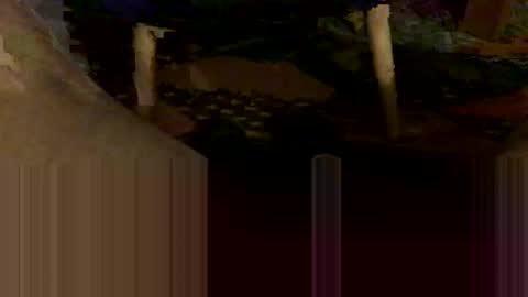 Oxo online show from 10-31-25, 08:54