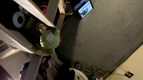 CoCreatorBlancki online show from 01-03-25, 04:22