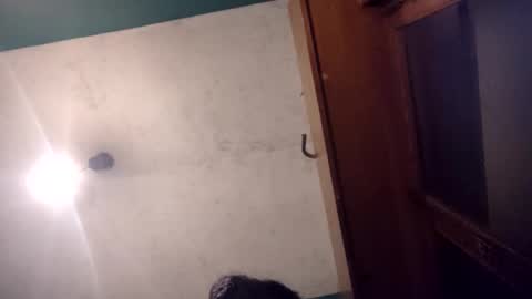 pablo6234516161 online show from 05-20-26, 11:11