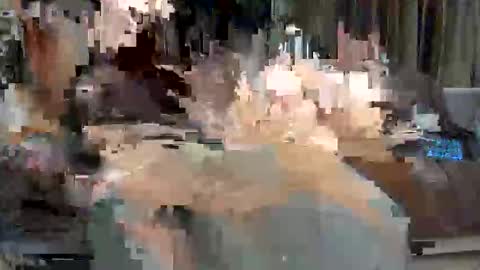 Paolo 187 84 online show from 05-24-26, 03:44