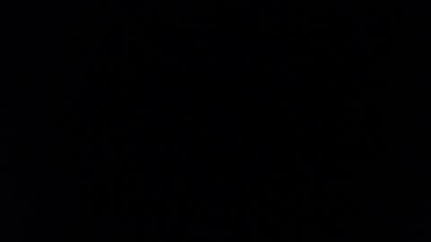 paiperhalliwey online show from 02-07-25, 08:55