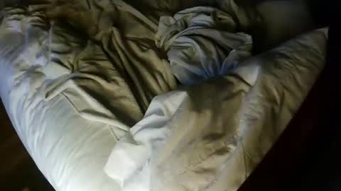 pale001zan online show from 09-29-25, 08:08