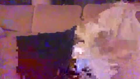 pallavolista73 online show from 05-26-26, 02:18