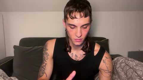 Snapshot of palm1stry chatting on 11-01-25, 12:23 Ayden online show from 11-01-25, 12:23