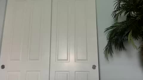 palmflacco online show from 10-11-25, 05:44