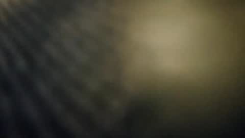 pals199301 online show from 11-23-25, 11:37