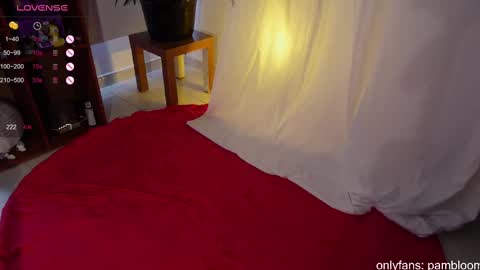 Snapshot of pambloom_ chatting on 03-08-25, 06:05 online show from 03-08-25, 06:05