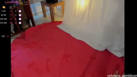 Snapshot of pambloom_ chatting on 03-08-25, 09:08 online show from 03-08-25, 09:08