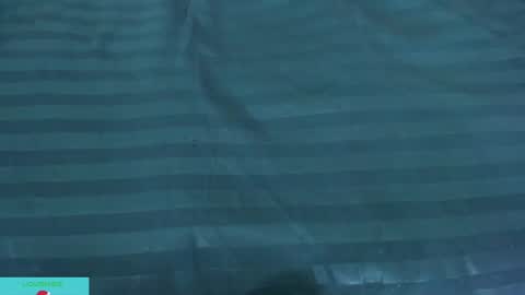 pamela_ambrosia1 online show from 12-13-24, 08:30