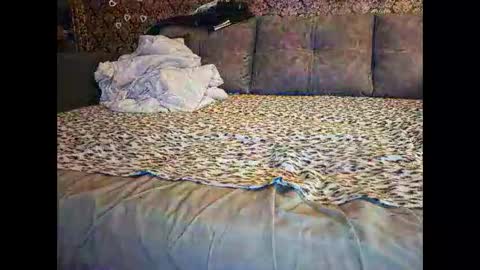 Snapshot of pancamo1000 chatting on 01-18-26, 07:17 Pancamo online show from 01-18-26, 07:17