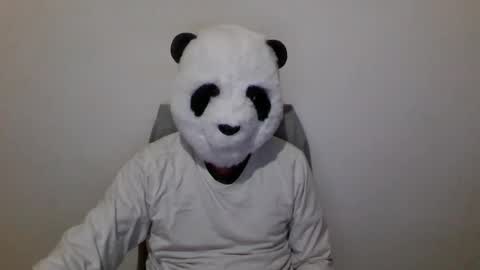 Panda online show from 12-06-24, 07:01