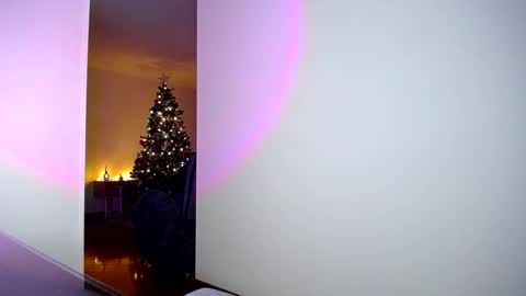 pandora__1 online show from 11-05-25, 02:11