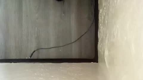 Snapshot of pantieplaytime52532 chatting on 12-25-24, 05:16 pantieplaytime52532 online show from 12-25-24, 05:16