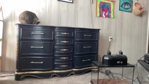 Pantiesofthefae online show from 01-20-25, 05:27