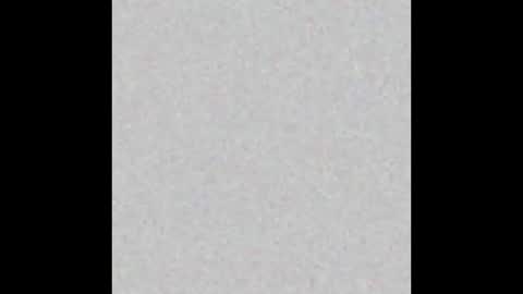 PantsLessTraveler online show from 12-25-24, 07:34