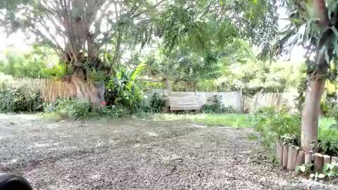 paoguerrax354 online show from 10-19-25, 06:41