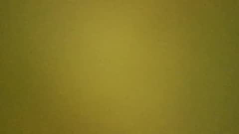 Snapshot of paolo365 chatting on 03-14-26, 10:53 LaRocca online show from 03-14-26, 10:53