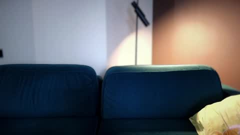 Snapshot of pashka_x chatting on 05-31-26, 11:17 Pashka online show from 05-31-26, 11:17