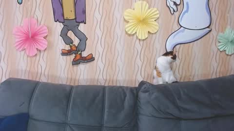 Snapshot of passionate_lora_ chatting on 10-11-25, 03:50 I am Lora and i am glad to see you in my room online show from 10-11-25, 03:50