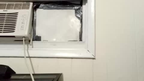 Snapshot of pato0008 chatting on 03-01-25, 10:13 JD online show from 03-01-25, 10:13