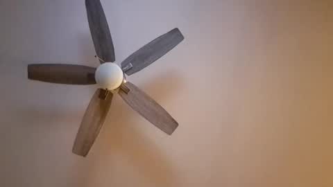 patrick247288 online show from 11-16-25, 06:30