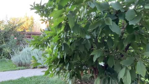 Snapshot of patry333 chatting on 09-16-25, 04:35 Andreea online show from 09-16-25, 04:35