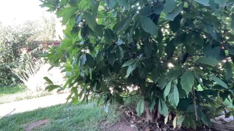 Snapshot of patry333 chatting on 09-23-25, 06:16 Andreea online show from 09-23-25, 06:16