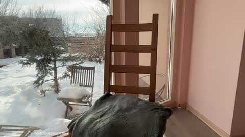 Snapshot of patry333 chatting on 02-20-26, 06:37 Andreea online show from 02-20-26, 06:37