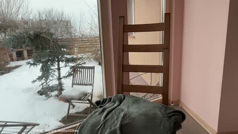 Snapshot of patry333 chatting on 02-24-26, 07:06 Andreea online show from 02-24-26, 07:06