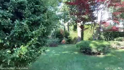 Andreea online show from 06-20-26, 05:32