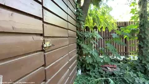 Andreea online show from 07-14-26, 07:24