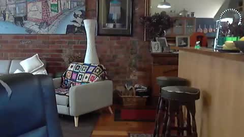 patvac online show from 11-08-25, 01:50