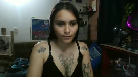 Snapshot of pau_cat chatting on 03-20-26, 05:45 Pau online show from 03-20-26, 05:45